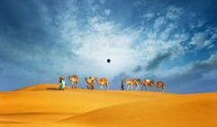 最新沙漠爆料新闻报道,最新爆料揭示神秘沙漠现象