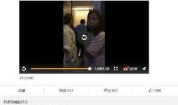 网红最新事件爆料视频