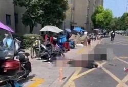 网友爆料坠楼案件最新情况