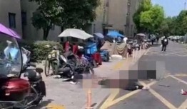 网友爆料坠楼案件最新情况