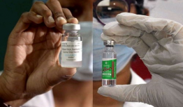 印度最新疫苗爆料,揭秘背后真相与全球影响