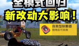 和平精英过年最新爆料,揭秘最新爆料，新年玩法大放送！