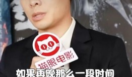 张译爆料最新消息,揭秘娱乐圈不为人知的幕后故事