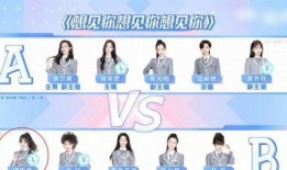 王先生果粒爸爸爆料最新,揭秘明星家庭幕后故事