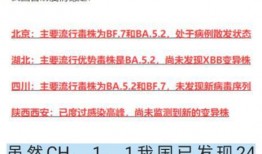 今日新冠病毒爆料消息最新,全球疫情动态与防控策略解析