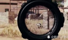 和平精英5级枪皮最新爆料,炫酷外观，等你来战！