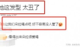 冰岛爆料最新视频播放下载,最新视频播放下载，揭秘神秘事件真相