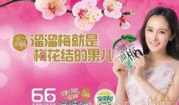 食品视频爆料大全最新,最新视频爆料大全深度解析