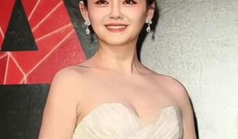 葛斯齐最新爆料大曲线,大曲线背后的惊人真相与未来趋势