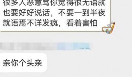 wbg经理最新消息爆料,最新战队动态及未来战略规划揭秘