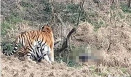 瘟疫动物园最新爆料,惊悚事件背后的真相曝光