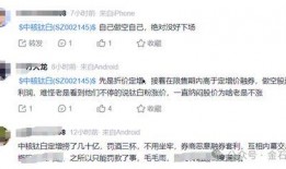 中核钛白最新爆料,揭秘行业变革与技术创新