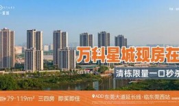 东莞楼市爆料网最新消息,揭秘最新房价走势与热门项目曝光