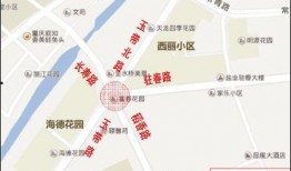 南充今日爆料最新消息,最新热点事件追踪