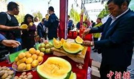 芒市吃瓜爆料最新事件,吃瓜爆料揭开最新神秘事件面纱