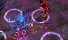 小丑鱼军需反场最新爆料,揭秘幕后真相与惊人内幕