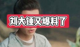 刘大锤爆料最新消息视频,揭秘视频背后的惊人真相