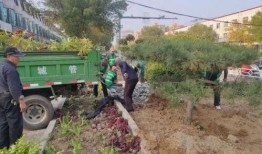 巨鹿爆料最新消息今天,今日热点事件深度解析