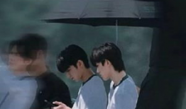 文轩爆料视频大全最新,揭秘娱乐圈幕后真相