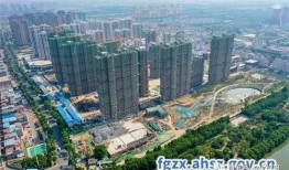 石家庄北区爆料案件最新,惊曝重大案件细节披露