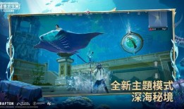 小丑鱼军需反场最新爆料,揭秘幕后真相与惊人内幕