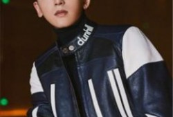 明星八卦大爆料最新热议,明星八卦大爆料，揭秘幕后真相