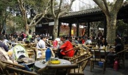 成都茶馆爆料最新,最新茶事风云，一网打尽茶界新鲜事