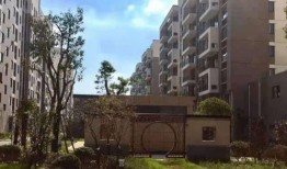 萍乡最新新闻爆料电话,揭秘城市动态，倾听市民心声