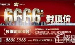 万科城爆料最新消息今天,揭秘项目进展与未来规划”