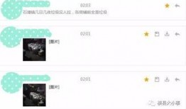 明珠大道最新爆料微博,揭秘工程进展与周边变化