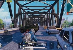 和平精英最新堵桥爆料,全新堵桥战术曝光，战场格局再掀风云