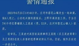庄河最新事件爆料新闻,揭秘XX真相，引发社会广泛关注