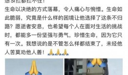 网友爆料坠楼案件最新情况