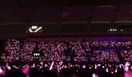 厦门演唱会最新爆料事件,幕后故事与精彩瞬间大揭秘