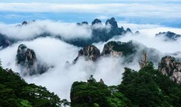 安徽黄山最新爆料消息