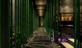 成都茶馆爆料最新,最新茶事风云，一网打尽茶界新鲜事