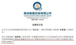 禹洲集团最新爆料新闻事件,揭秘重大商业事件背后真相