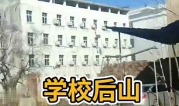 致远中学后山最新爆料,揭秘后山最新爆料背后的真相