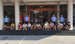 吴川公安最新爆料信息,重大案件侦破进展及幕后真相曝光