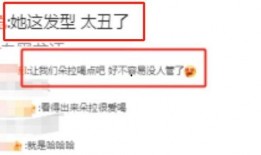 冰岛爆料最新视频播放下载,最新视频播放下载，揭秘神秘事件真相