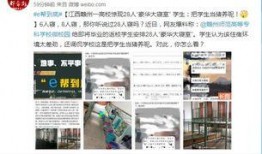 赣州市爆料网最新消息今天,最新突发！赣州城区惊现神秘事件，详情揭晓！